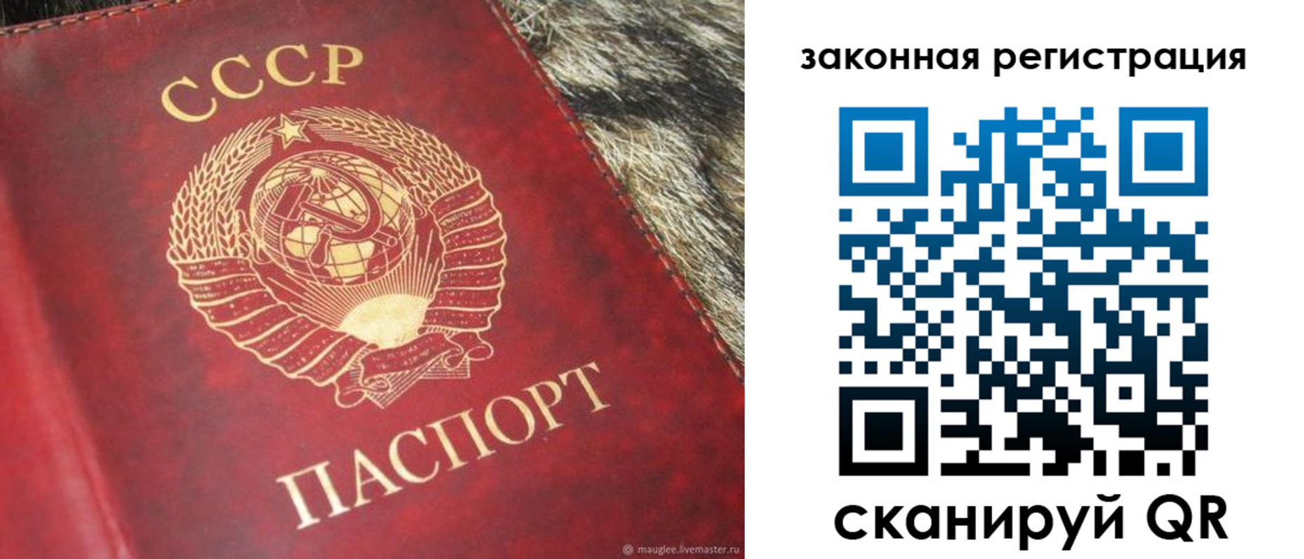 прописка от собственника в Бронницах